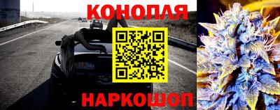 шишки Ярославль