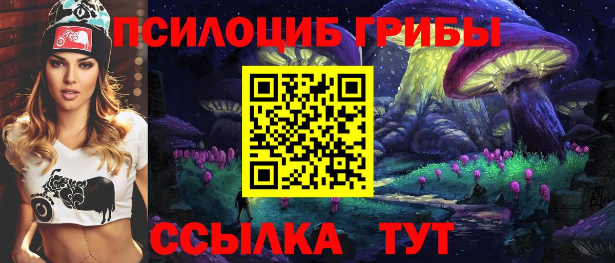 Галлюциногенные грибы Cubensis Видное